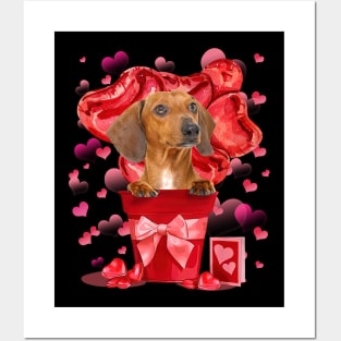 Red Dachshund Dog In Red Pot Happy Valentine's Day Posters and Art